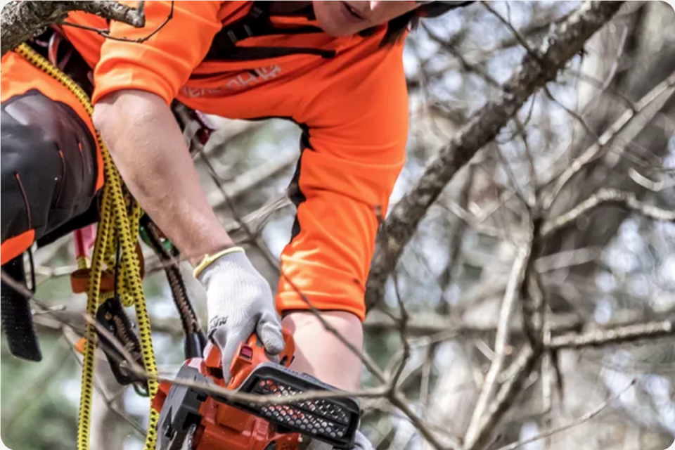 Husqvarna T525 Benzinli Dal Budama Testeresi