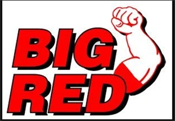 Bigred  Şişe Kriko 3 Ton Plastik Çantalı T90304D