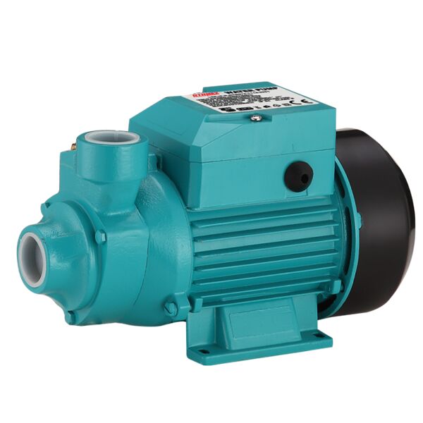 Rtrmax Rtm873 Su Pompası 0.5 Hp