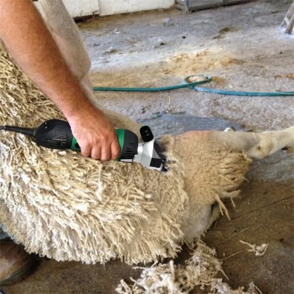 Rtrmax Rtm923 Elektrikli Koyun Kırkma Makinası