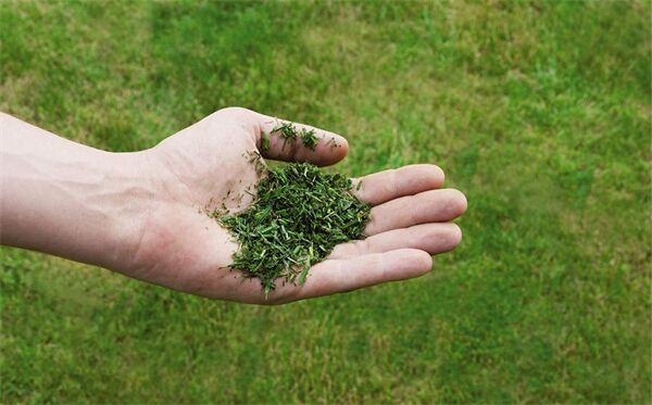 EİNHELL GC-PM 51/3 S HW BENZİNLİ ÇİM BİÇME MAKİNESİ 3404333