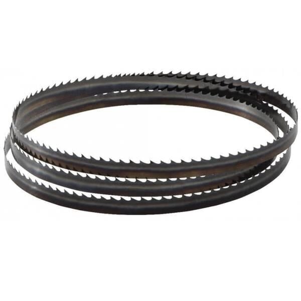 Einhell Şerit Testere Şeriti Yedek 430801801028